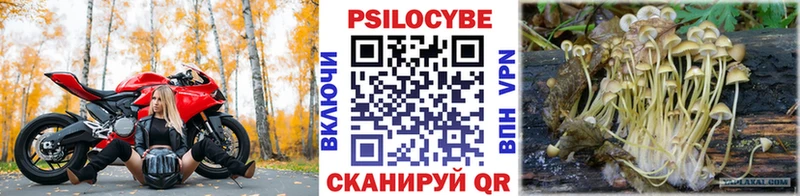 Псилоцибиновые грибы Magic Shrooms  Хилок 